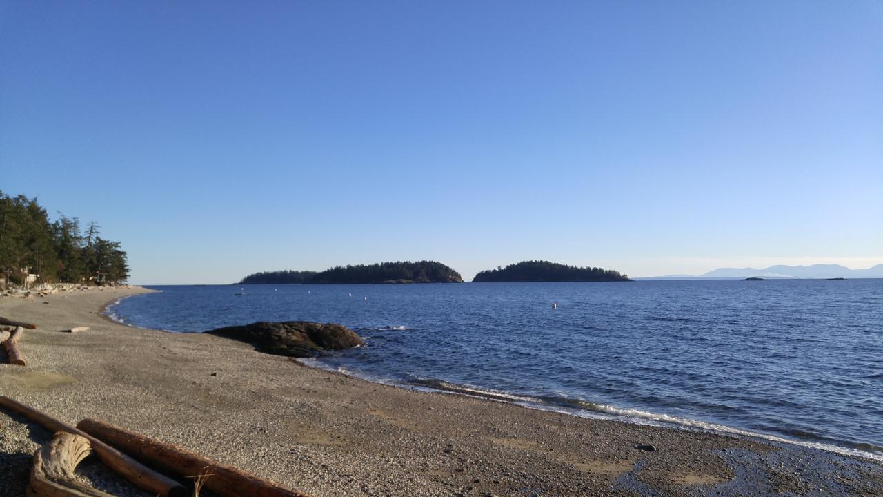 Sunshine Coast Treetop B&B 세첼트 외부 사진