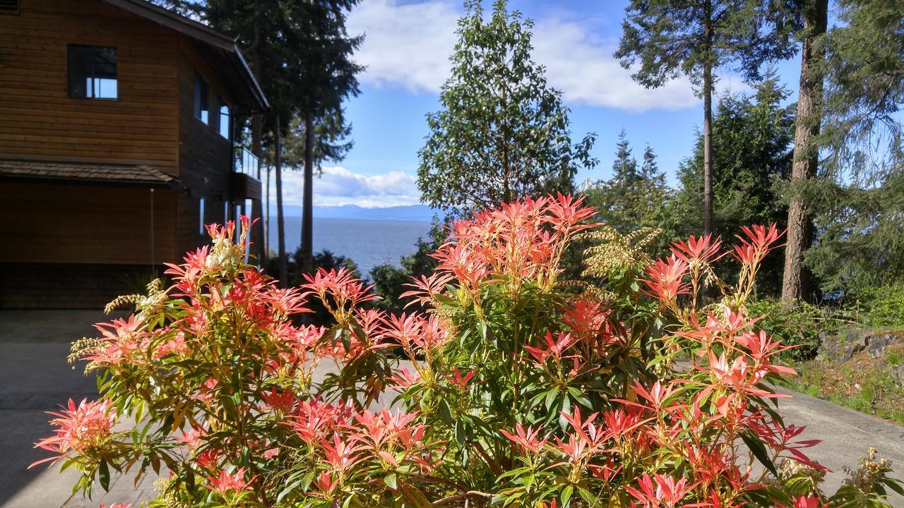 Sunshine Coast Treetop B&B 세첼트 외부 사진