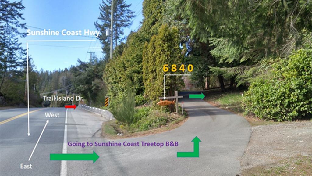 Sunshine Coast Treetop B&B 세첼트 외부 사진