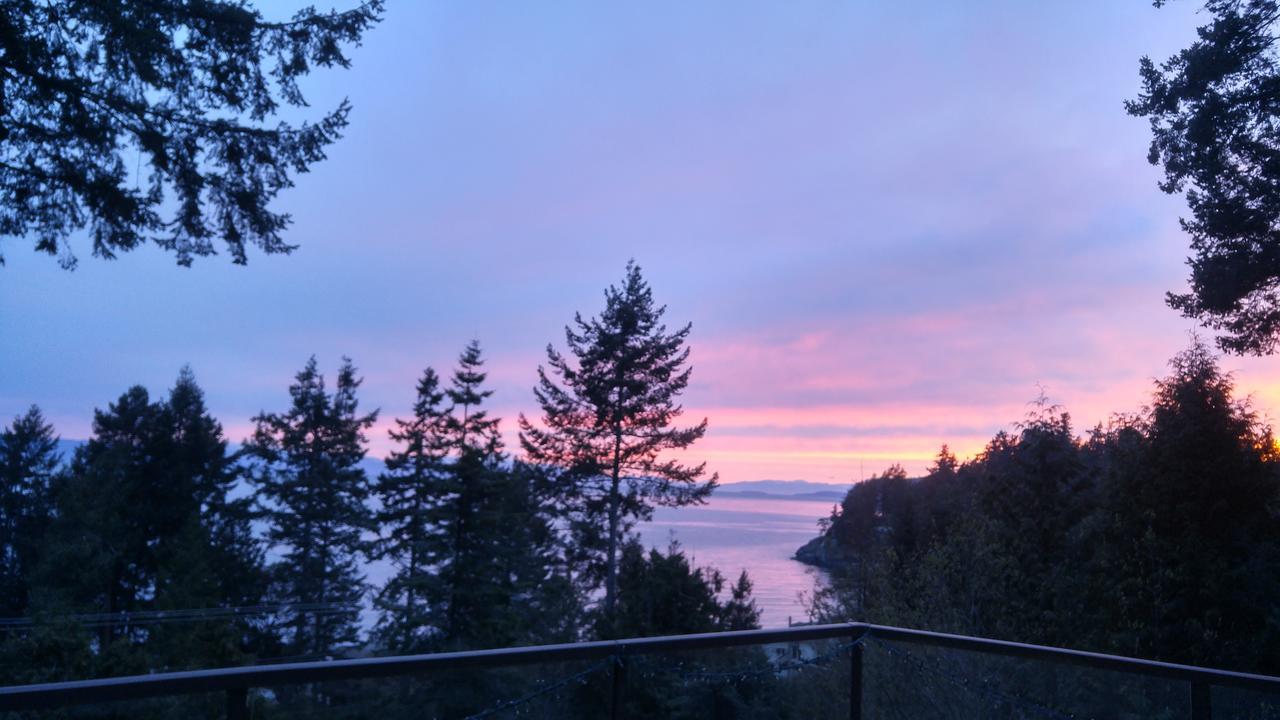 Sunshine Coast Treetop B&B 세첼트 외부 사진