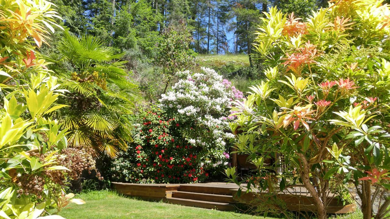 Sunshine Coast Treetop B&B 세첼트 외부 사진